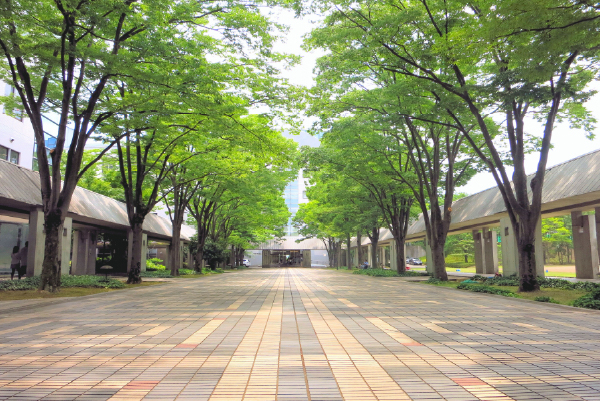 大学・教育機関