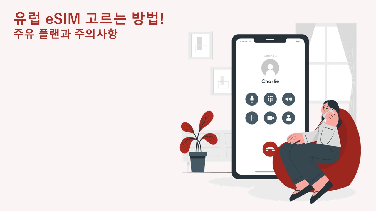 유럽 eSIM 고르는 법! 다국 여행 요금제와 주의사항